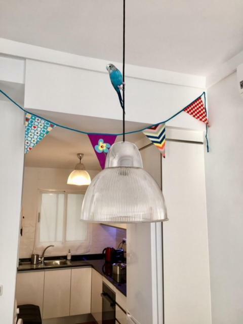 Cozy Hall Apartament